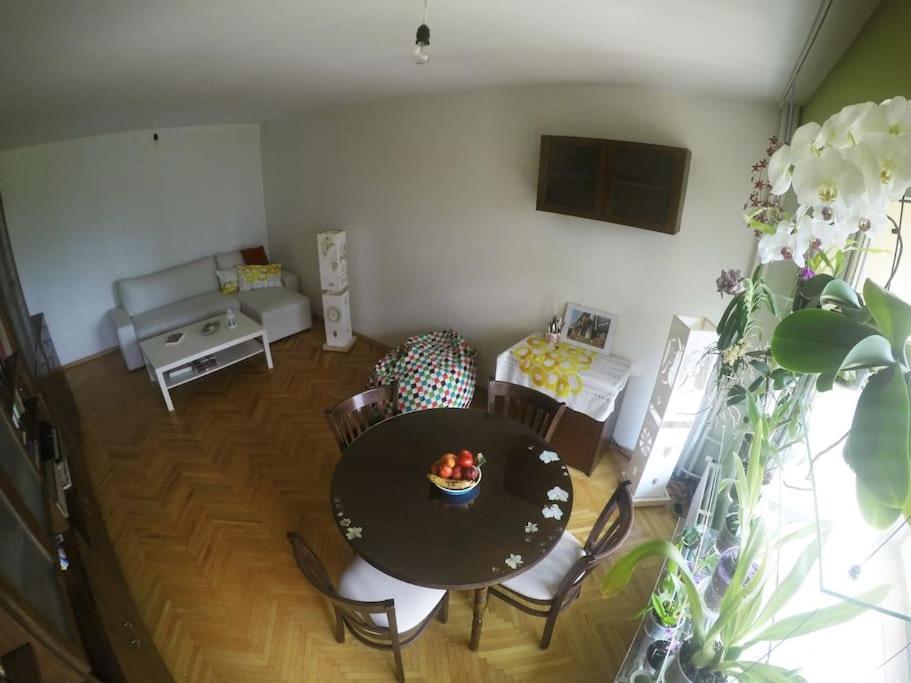 Beautiful Flat In Location By Flat Mаnager * Sofia